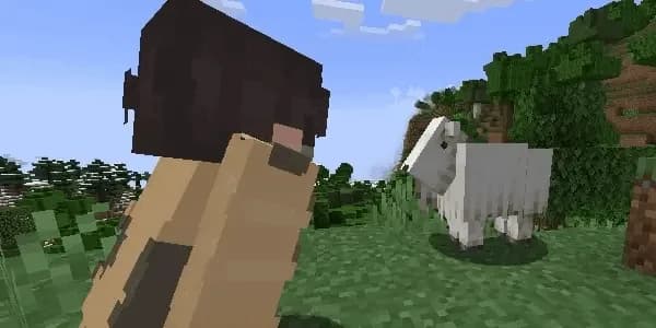 PatPat [Mod & Plugin] 1.21 — скачать на Paper и Spigot