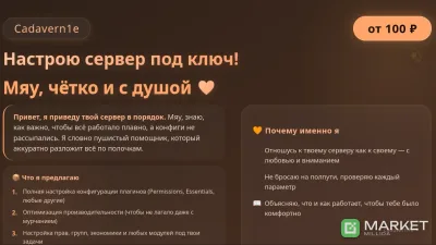 🩷 Настрою сервер под ключ! Мяу, чётко и с душой 💜