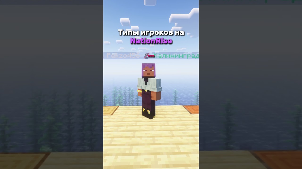 Типы игроков на NationRise⭐ #minecraft #майнкрафт #minecraftshorts #minecraftmemes #memes