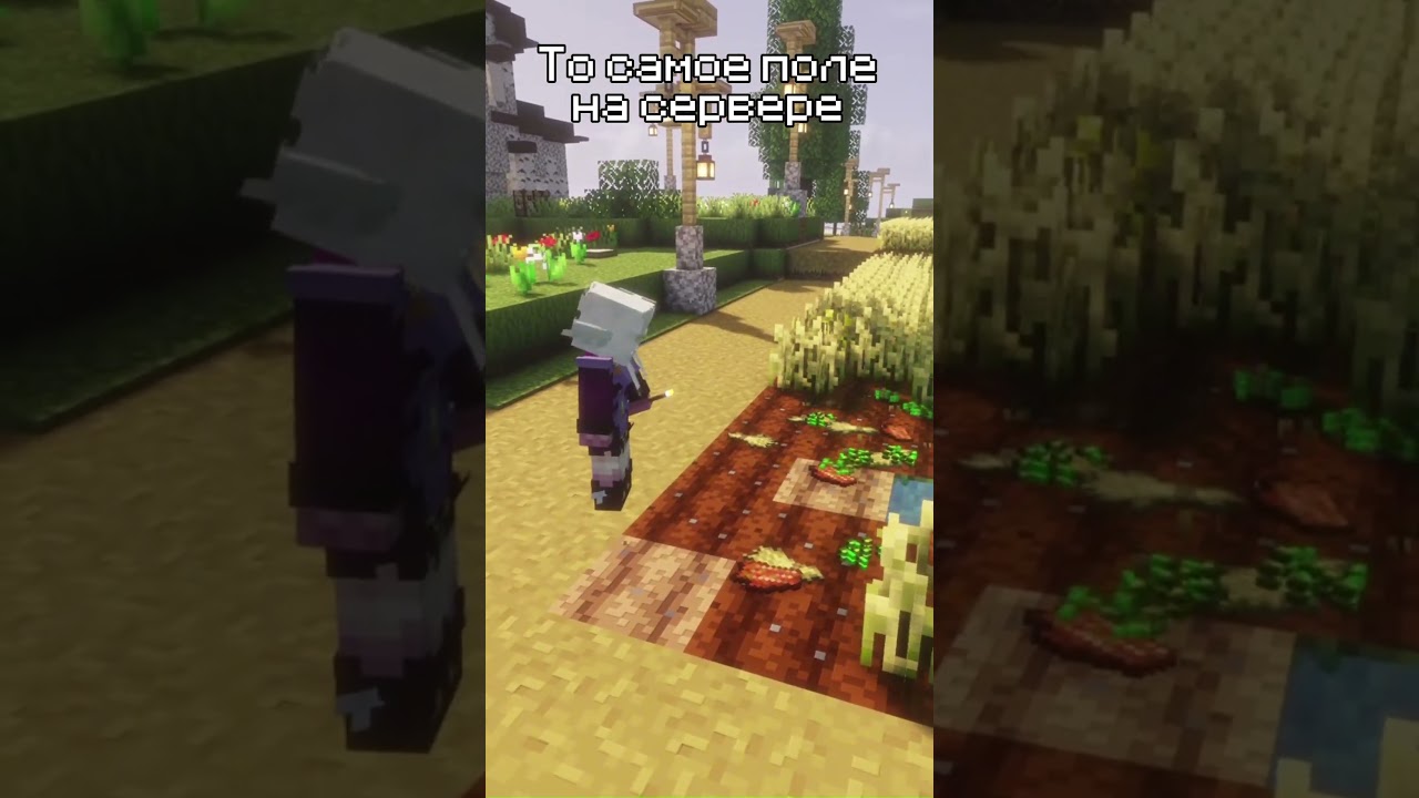 То самое поле на сервере #pivoworlds #minecraft #майнкрафт #pivo #memes #мем
