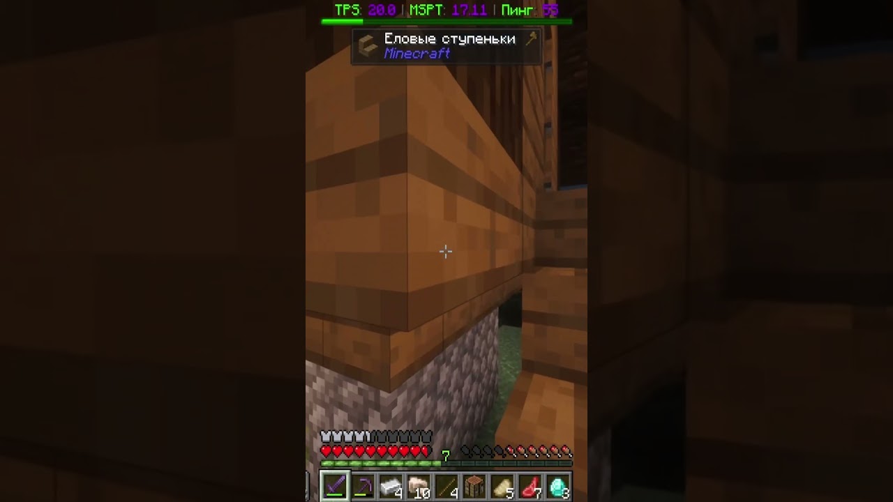 Маленький житель #minecraft #mine #майнкрафт #майн #skyfaster